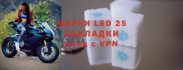 стаф Алексин