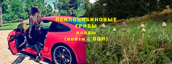 ПСИЛОЦИБИНОВЫЕ ГРИБЫ Алексеевка