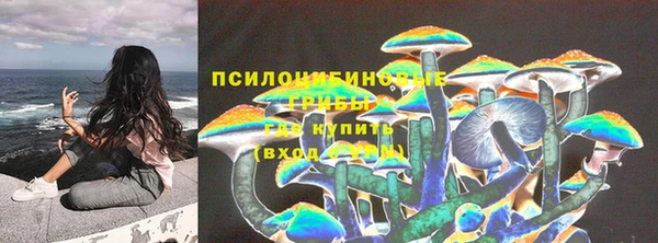 стаф Алексин