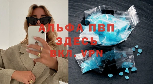 стаф Алексин