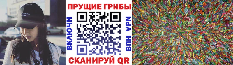 Галлюциногенные грибы Psilocybe  Бахчисарай 