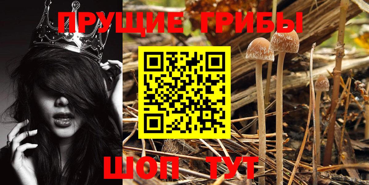 Бахчисарай  Псилоцибиновые грибы MAGIC MUSHROOMS  Вход с VPN 