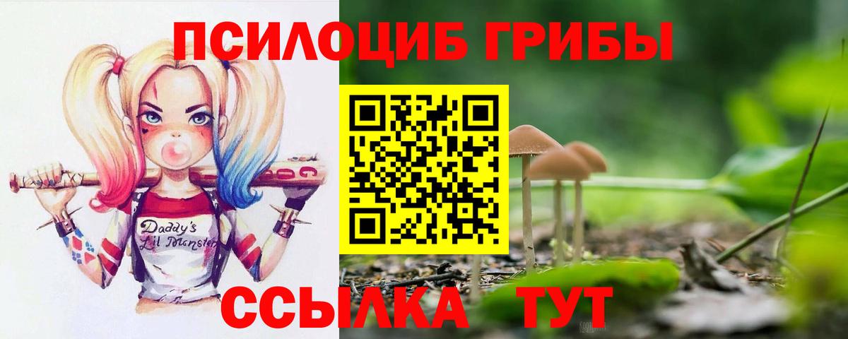 Псилоцибиновые грибы мухоморы Бахчисарай